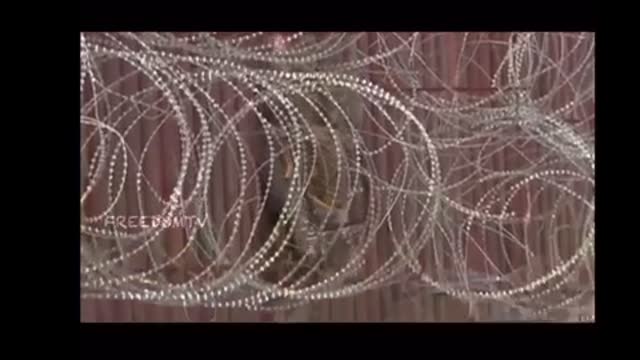 The border is open, go go go