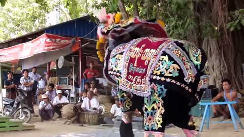 Elephant 🐘 dance