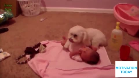 When dogs protect babies_1080p