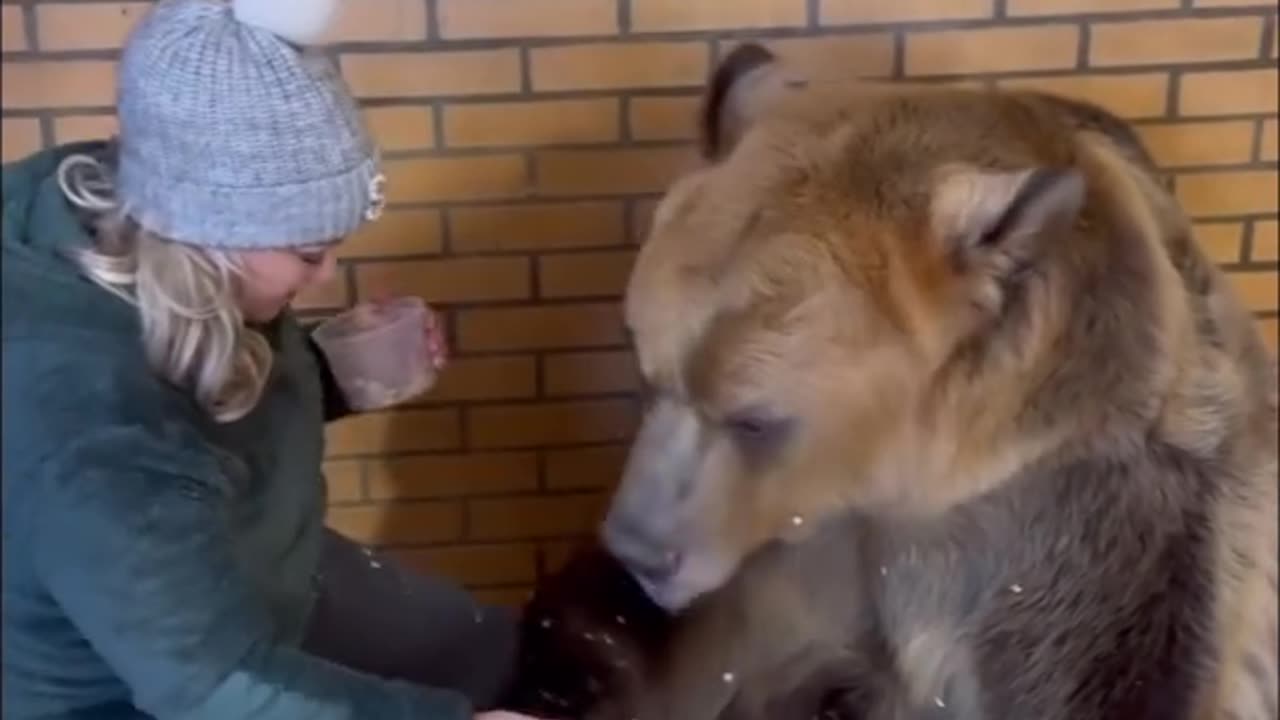 Bear Eating Food