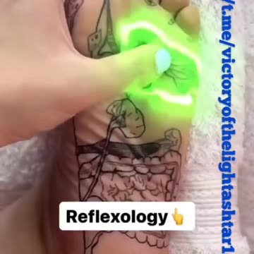 지압법, 미국 반사요법 연구회.AVI : 한의학에서 본 것과 비슷.