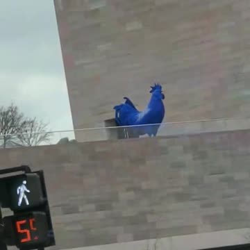 Washington DC Blue Rooster - Katharina Fritsch's Hahn/Cock