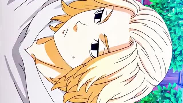 Anime Compilation