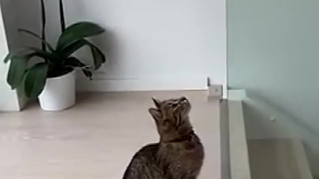 Actually I just want to go downstairs.