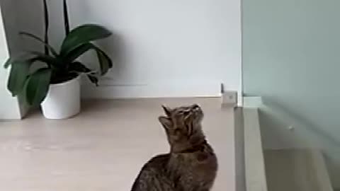 Actually I just want to go downstairs.