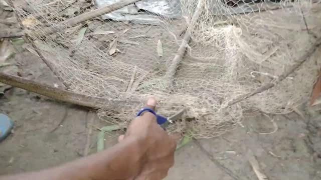 Patient Man Cuts Snake Free From Net