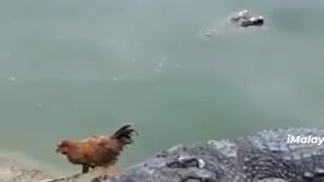 Margi apne Jan se khelte huye