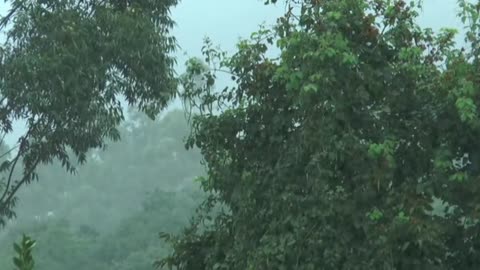 Rain, Soothing Rain Sounds for Sleep, Relaxation, Meditation, Calm