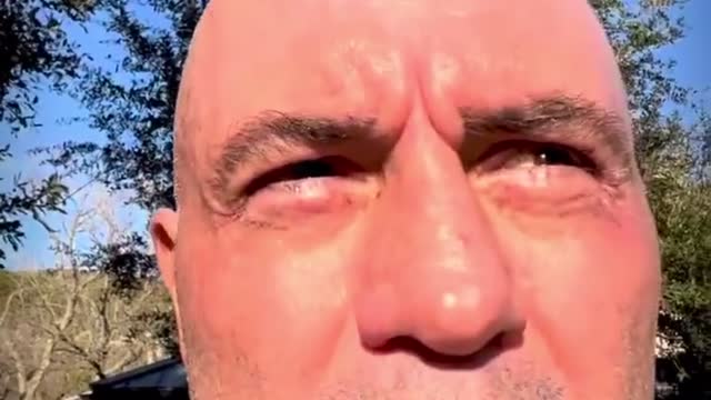 Joe Rogan Reacts to New Spotify Policies