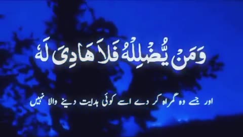 Tilawat-e-Quran_ Peace Of Heart