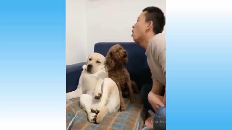 Top funny 🤣😀 video of dog