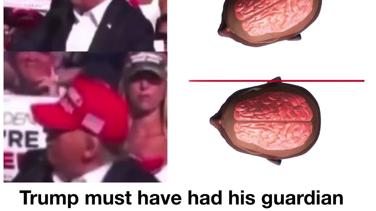 This is nothing short of a miracle!