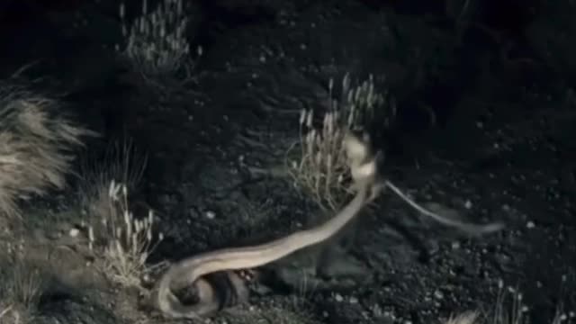 Prima regulă din 2022 Nu te înțepa!