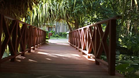 Cross a wooden bridge under the shed and the path to the house