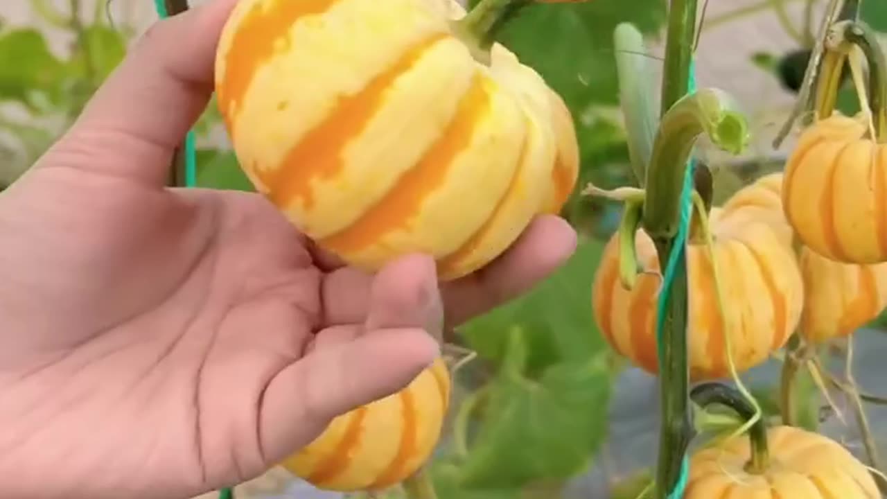 Follow us for more such Gardening and Woodworking Tips | Check Description 👇💚
