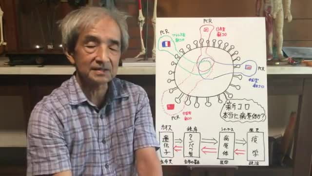 【121】無意味なPCR検査は早くやめたほうが良い - 大橋眞