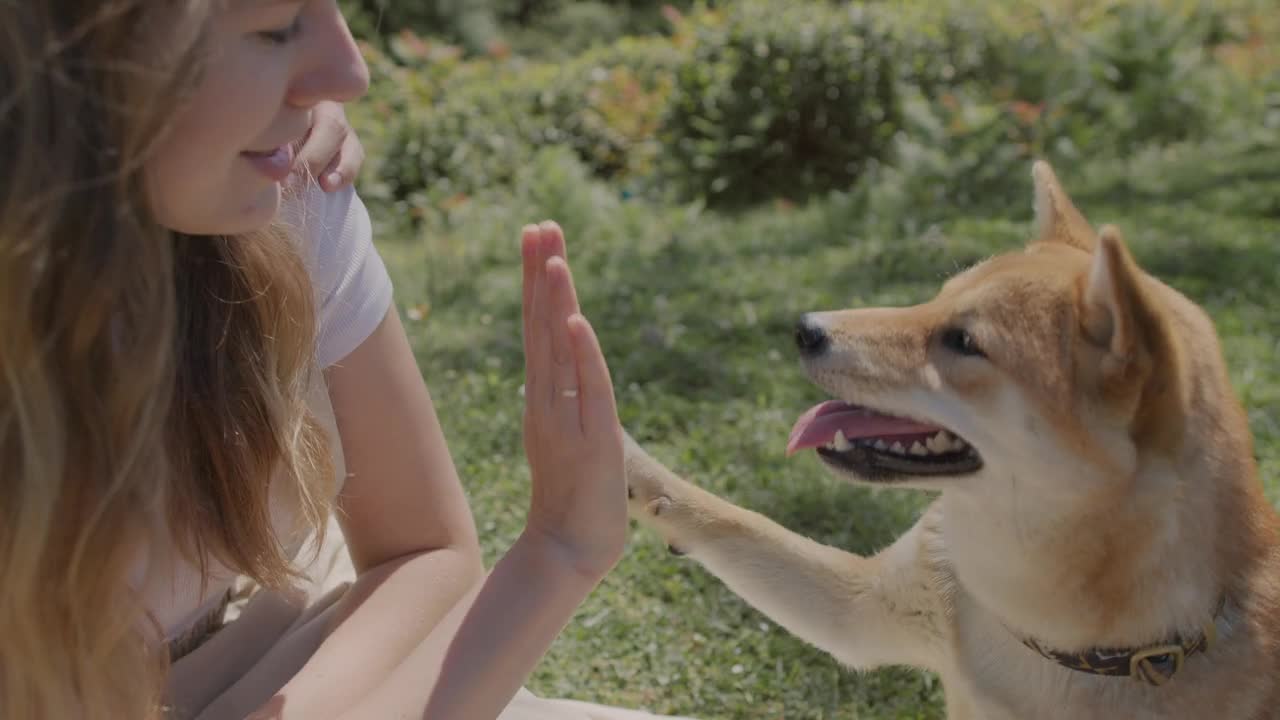 beautiful girl playing with her dog at home..