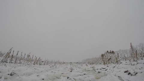 Late Season Waterfowl Weekend, From A Panel Blind