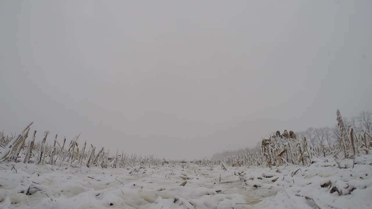 Late Season Waterfowl Weekend, From A Panel Blind