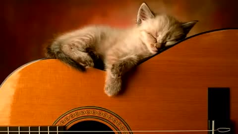 Relaxing Guitar Music