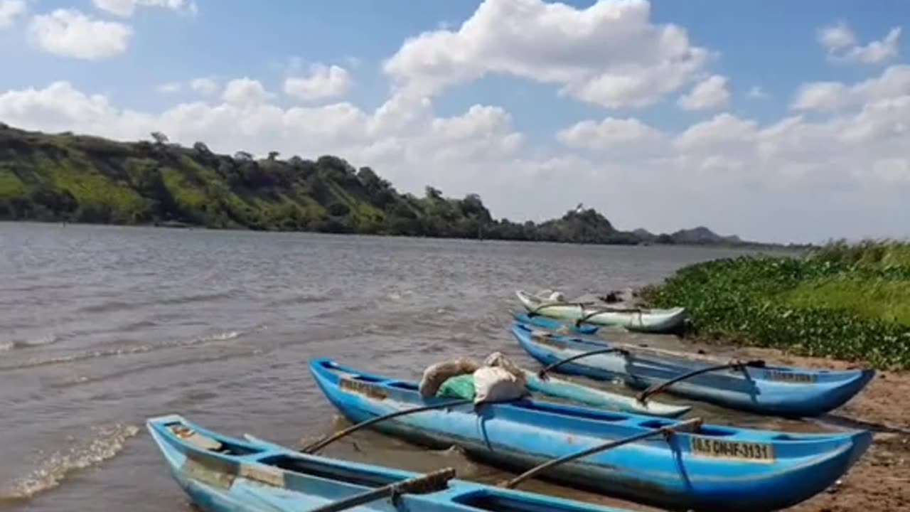 the river