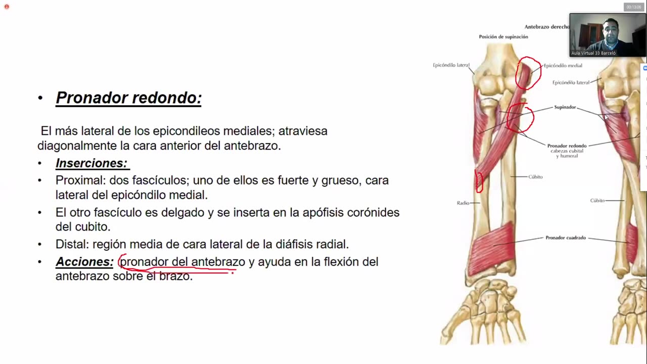 Clase 13 - Repaso Miembro Superior 2_2 y Miembro Inferior 1_2 - Dr. Sergio Paez 26-05-2021