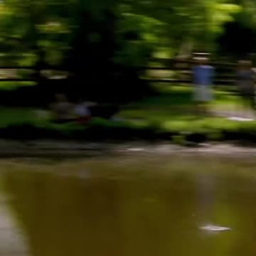 Skimming a Rock On Water This Far!!! #skillsshowcase #shorts