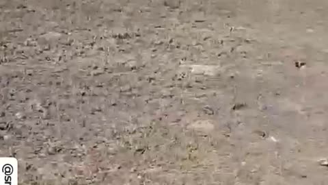 Ukraine War - Fragments of Ukrainian kamikaze drones