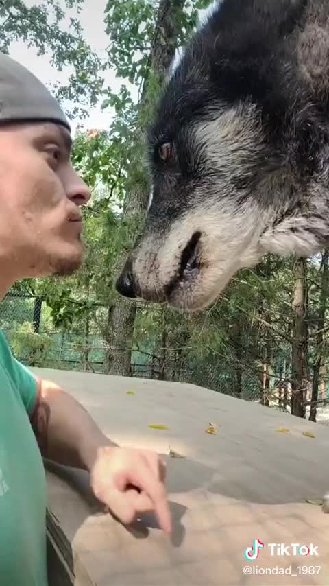 Fun with Angry dog 🐕😂🤣