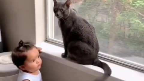 Baby play with cat