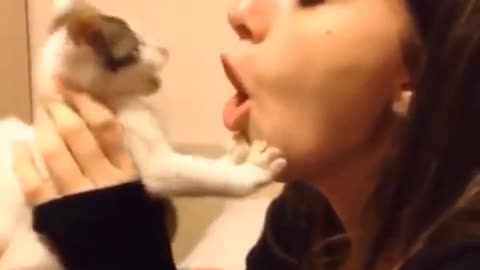 funny cat kiss the girl