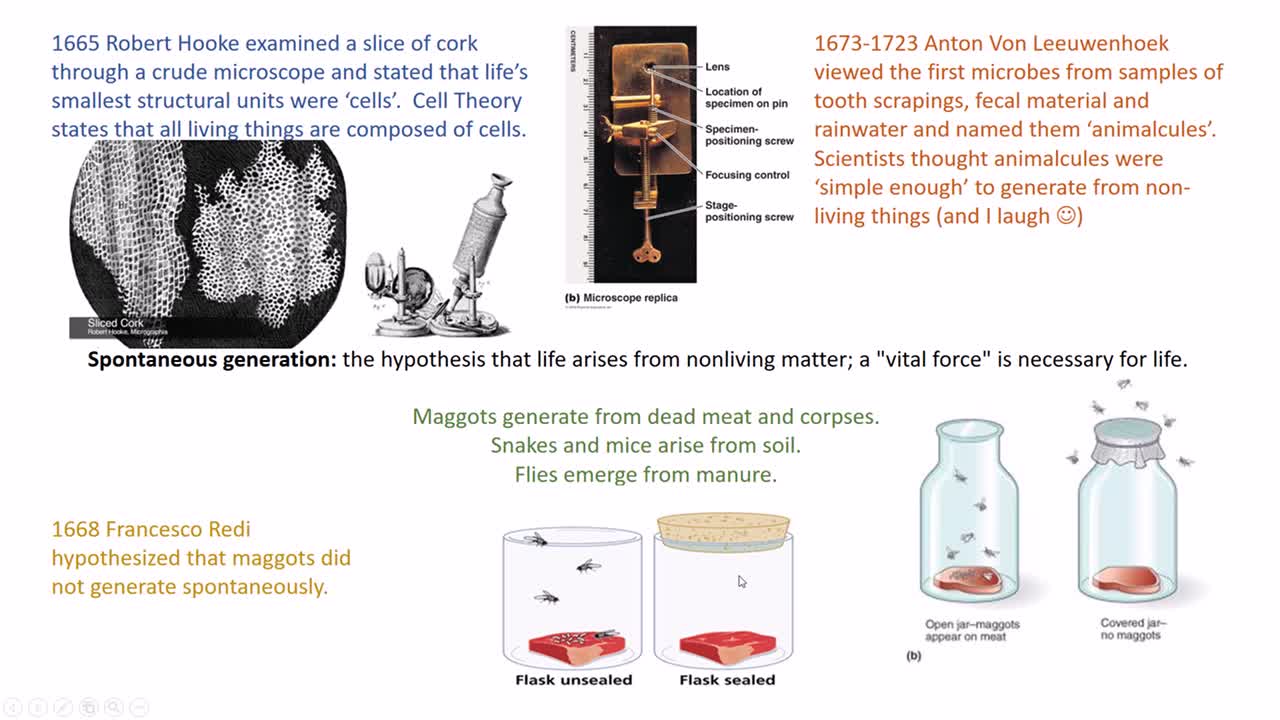 Microbiology History: Spontaneous Generation