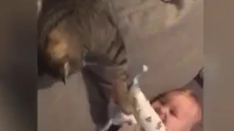 cute baby playing with cat and much smiles