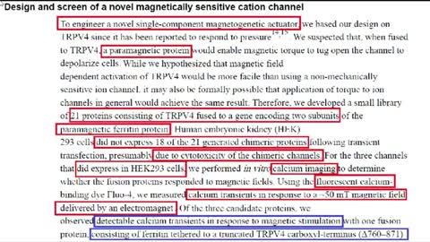 Magnetogenetics Can Be Used To Control Behavior