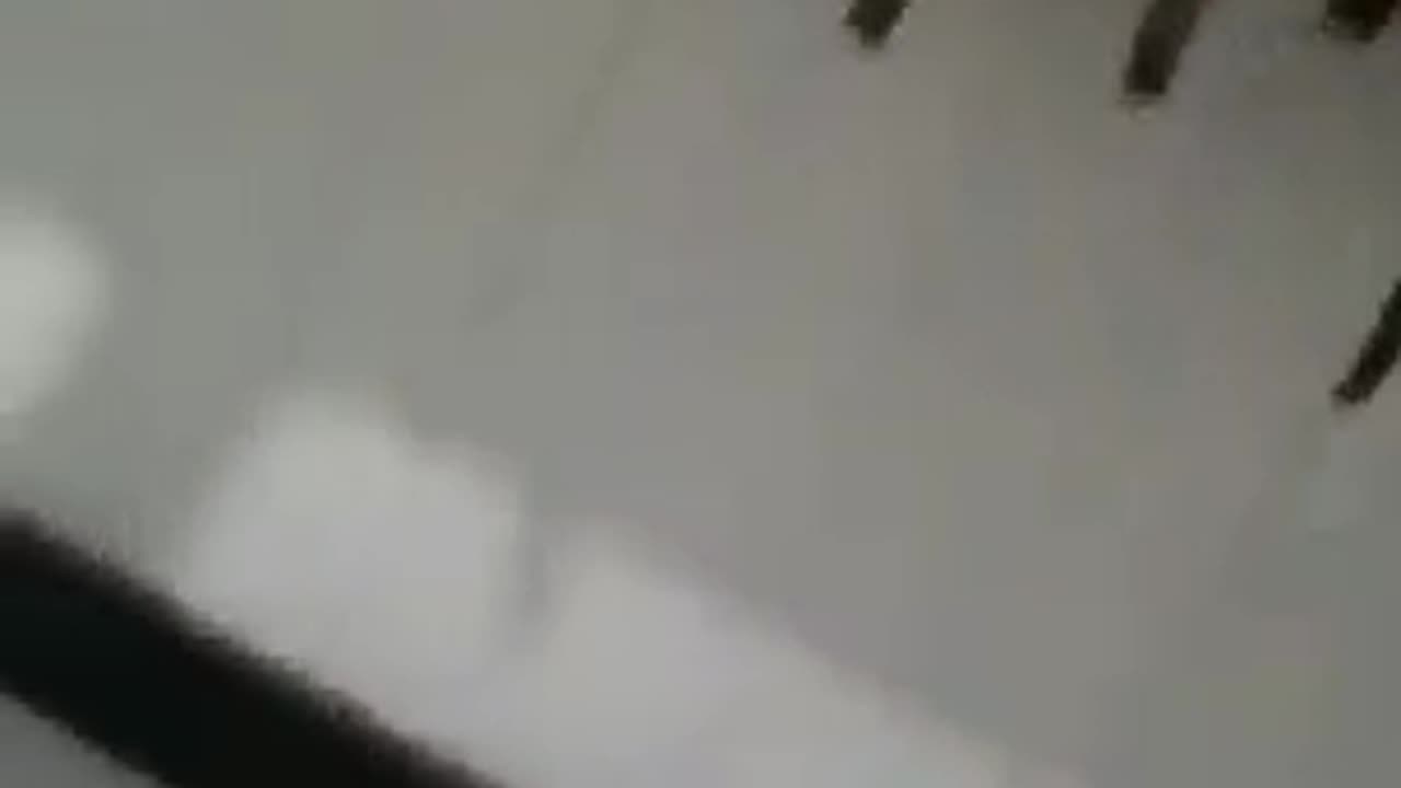 When she try to scared his brother … 🤣🤣🤣