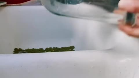 Alternate between hot and cold water at the dividing line