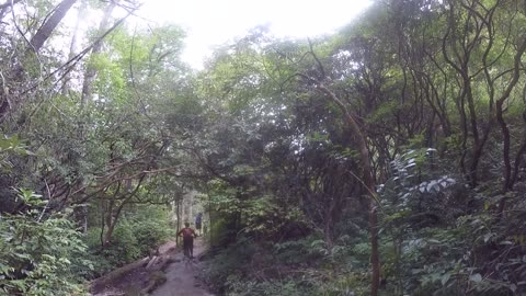 Mountain Biking at Avery Creek - Pisgah, NC 2020 Part A