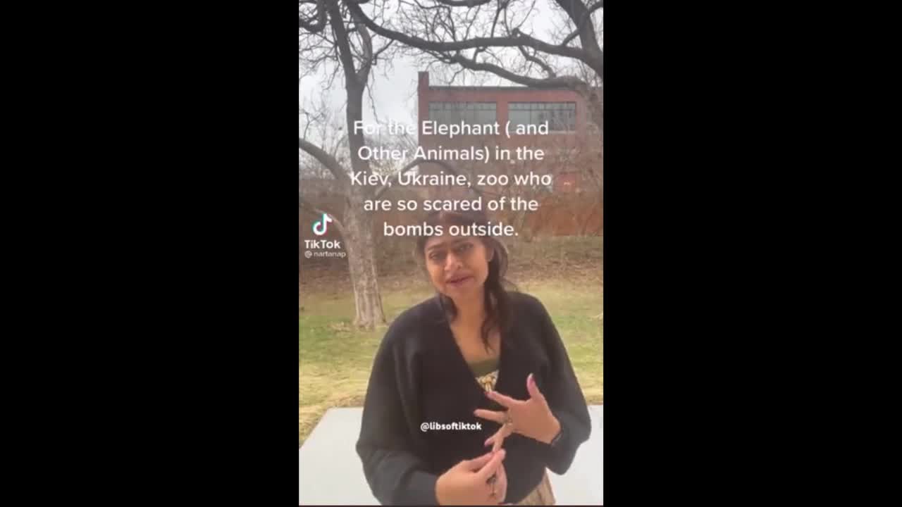 ⚫️Libs Of Tik Tok: What Did I Just Watch😂