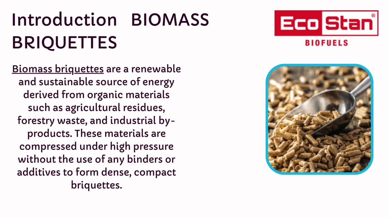 Introduction to Biomass Briquettes