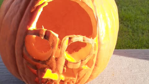 Pumpkin Carving