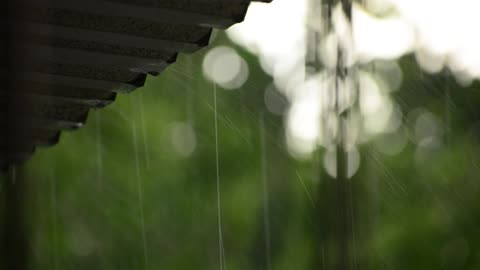 satisfying rain video