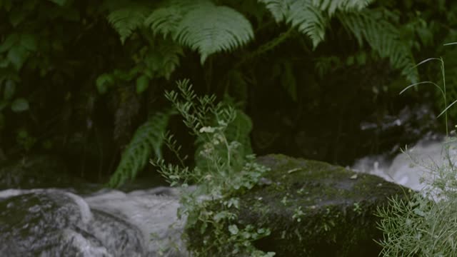 water-flowing-in-the-river