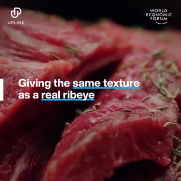 WEF Promo video: eerste digitaal geprinte biefstuk