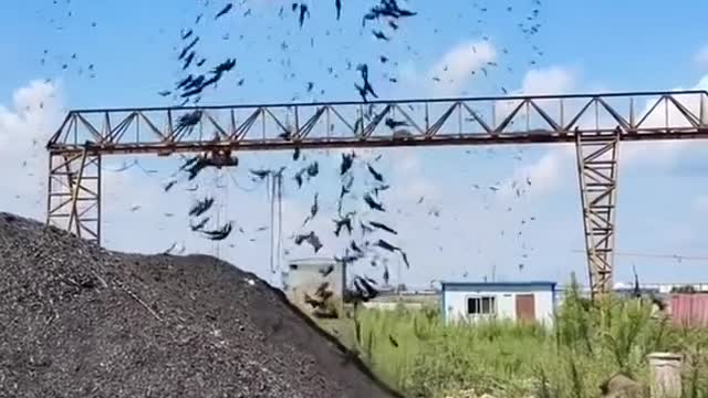 A super magnet?