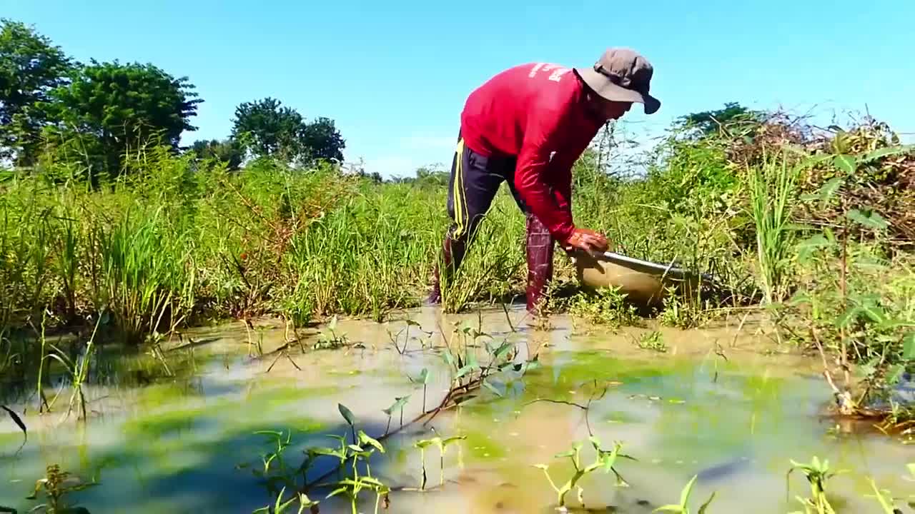 amazing fishing! a lots of fish in my special place this time catch by a fisherman skill by hand-4