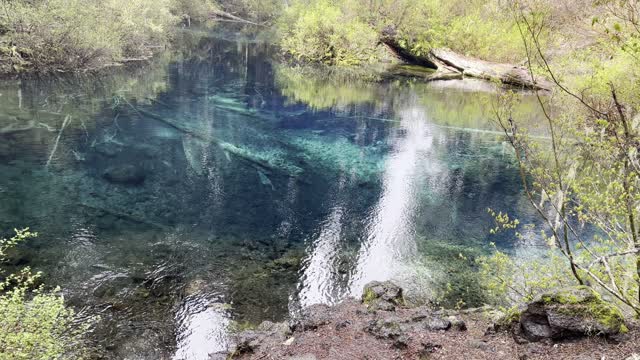 LOOK AT THIS BLUE! – Great Springs – Clear Lake – Willamette National Forest – Central Oregon – 4K