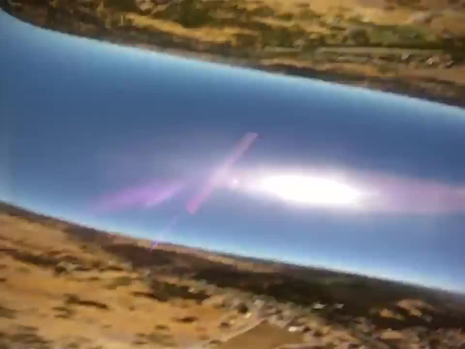 Camera falls from airplane and lands in pig pen