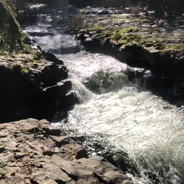 Creek next to our house.