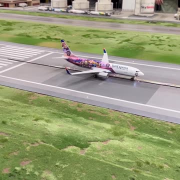 Aircraft miniature