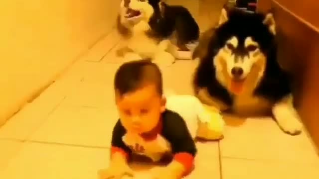 These two guys, they're so cute. I learned to crawl like a baby